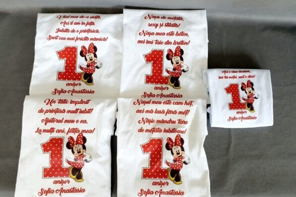 set red minnie mouse 2