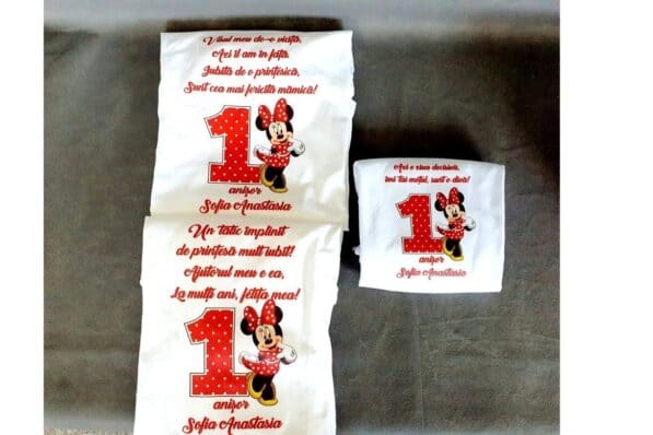 set red minnie mouse 3